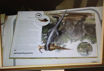 REALIDAD AUMENTADA COLOMBIA - Desarrollo de aplicaciones con realidad aumentada Colombia